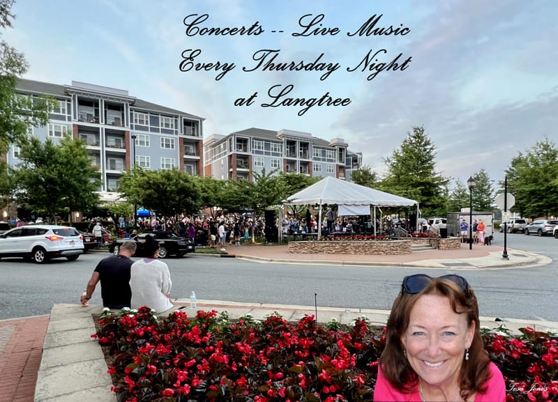 Langtree LIVE Concerts are Back!