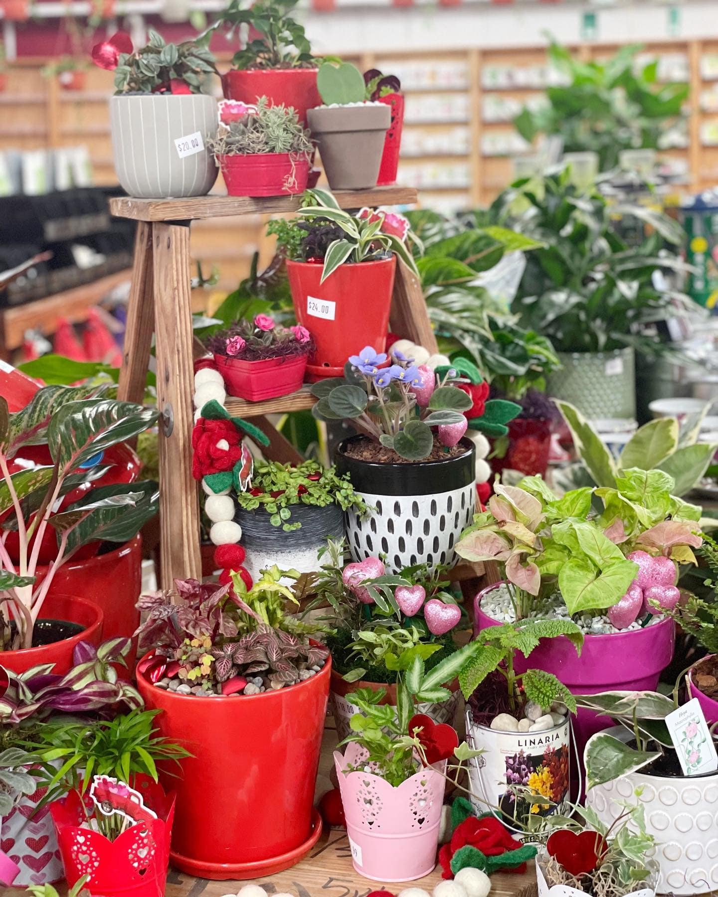 Brawley Garden Center Nursery & Landscaping Mooresville