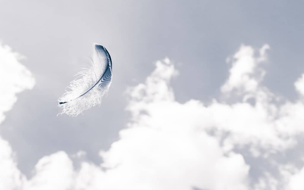 Finding feathers is often interpreted as a spiritual sign from a loved one.