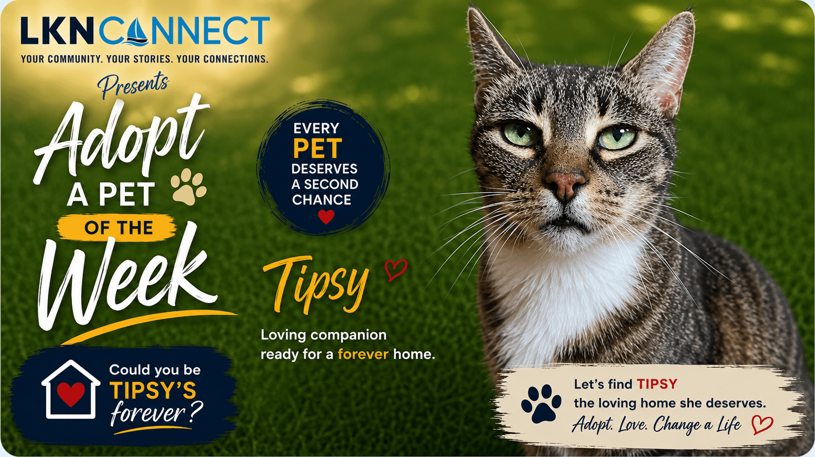 LKNConnect Rescue Pet of the Week: Adopt a Pet of the Week