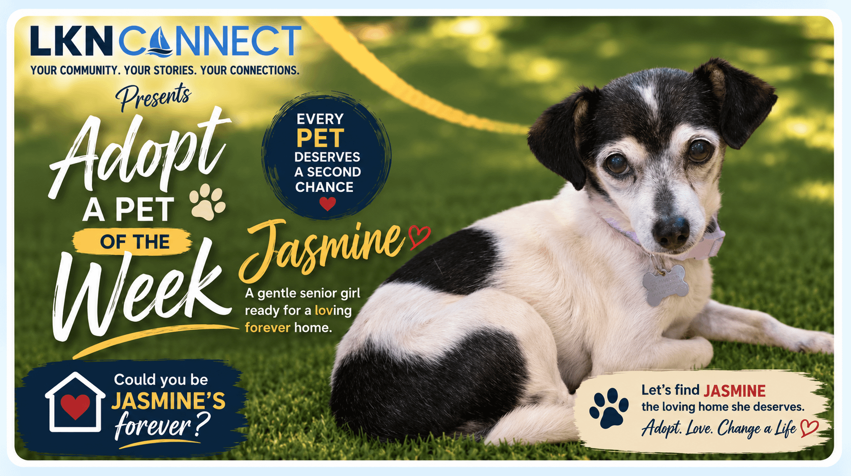 Every Pet Deserves a Second Chance