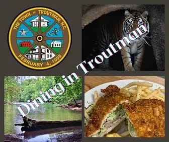 Dining in Troutman