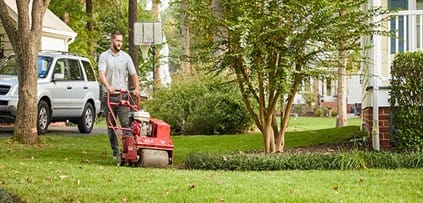 Lawn Preparation