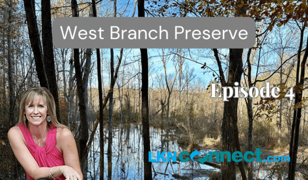 LKN Wellness w/ Karen Anthony