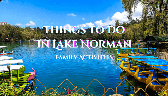 The Weekend Planner - Things to Do