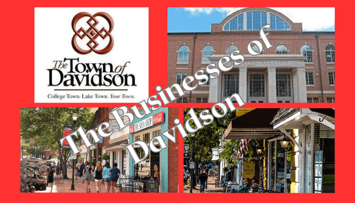 Guide to Local Businesses in Davidson