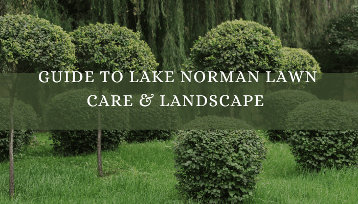 Guide to Landscape and Lawn Services
