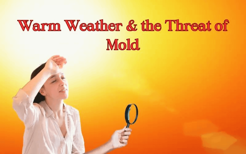 Warm Weather & Mold