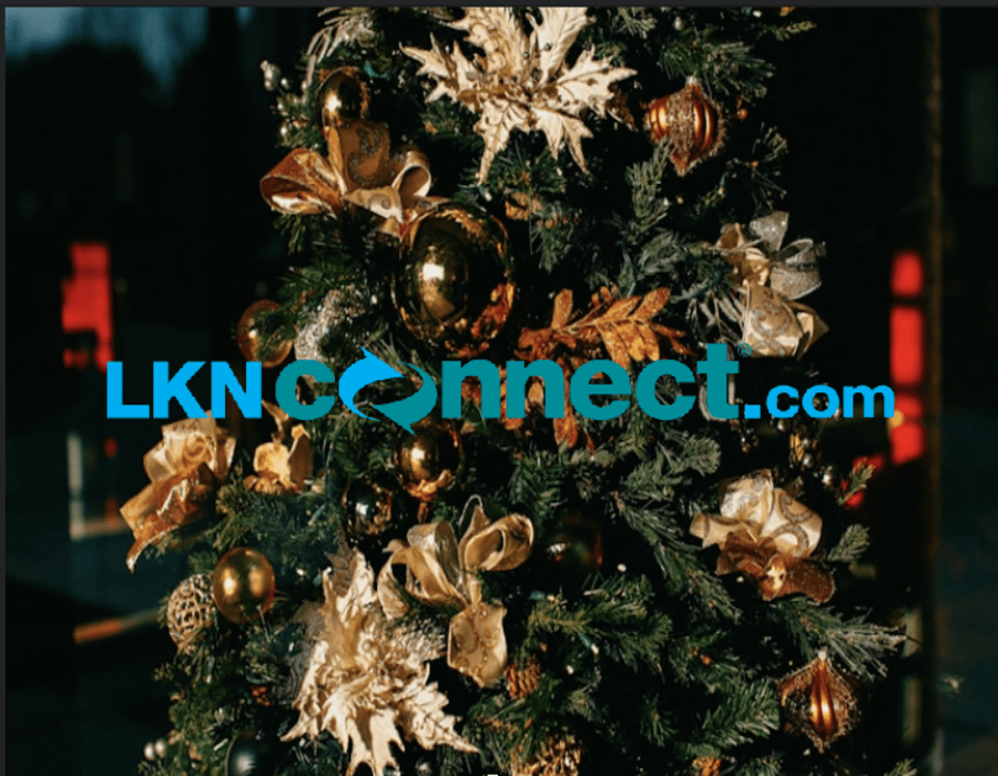 LKNConnect; Supporting All That is Lake Norman
