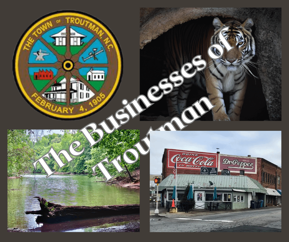 Business Guide to Troutman