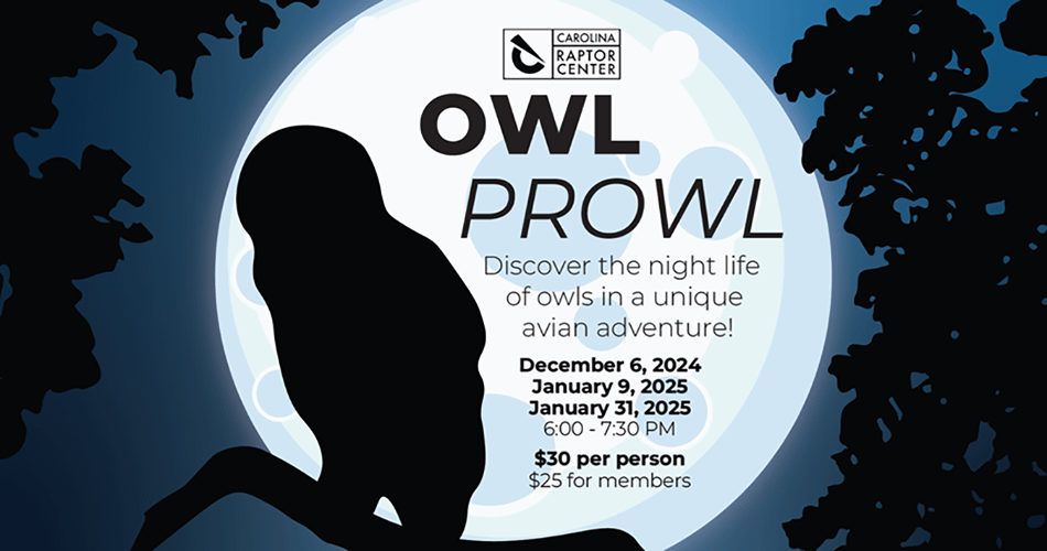 Holiday Event in Huntersville