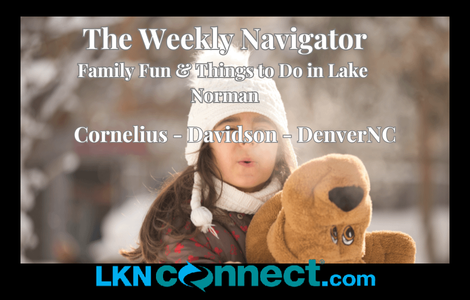Weekly Navigator- Family Fun