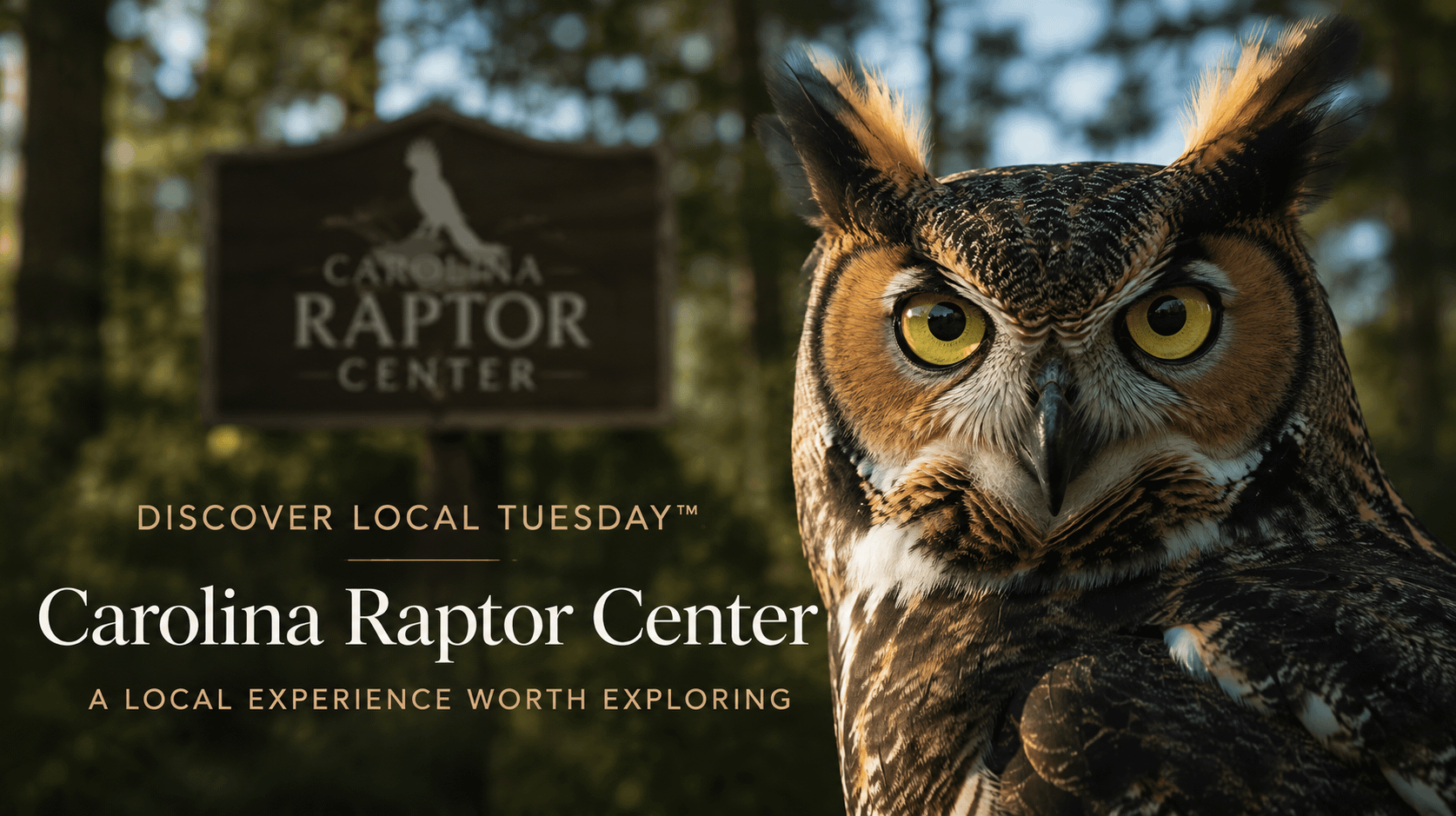 Discovery Tuesday in Lake Norman