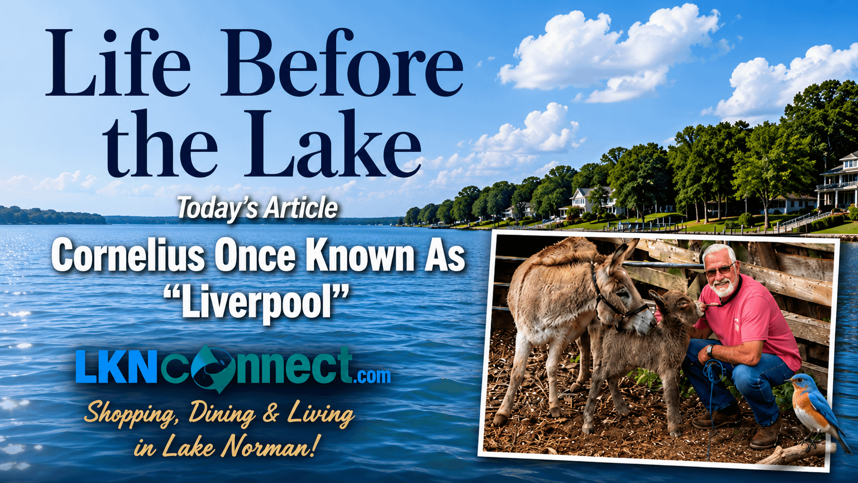 Life Before the Lake with David Beard